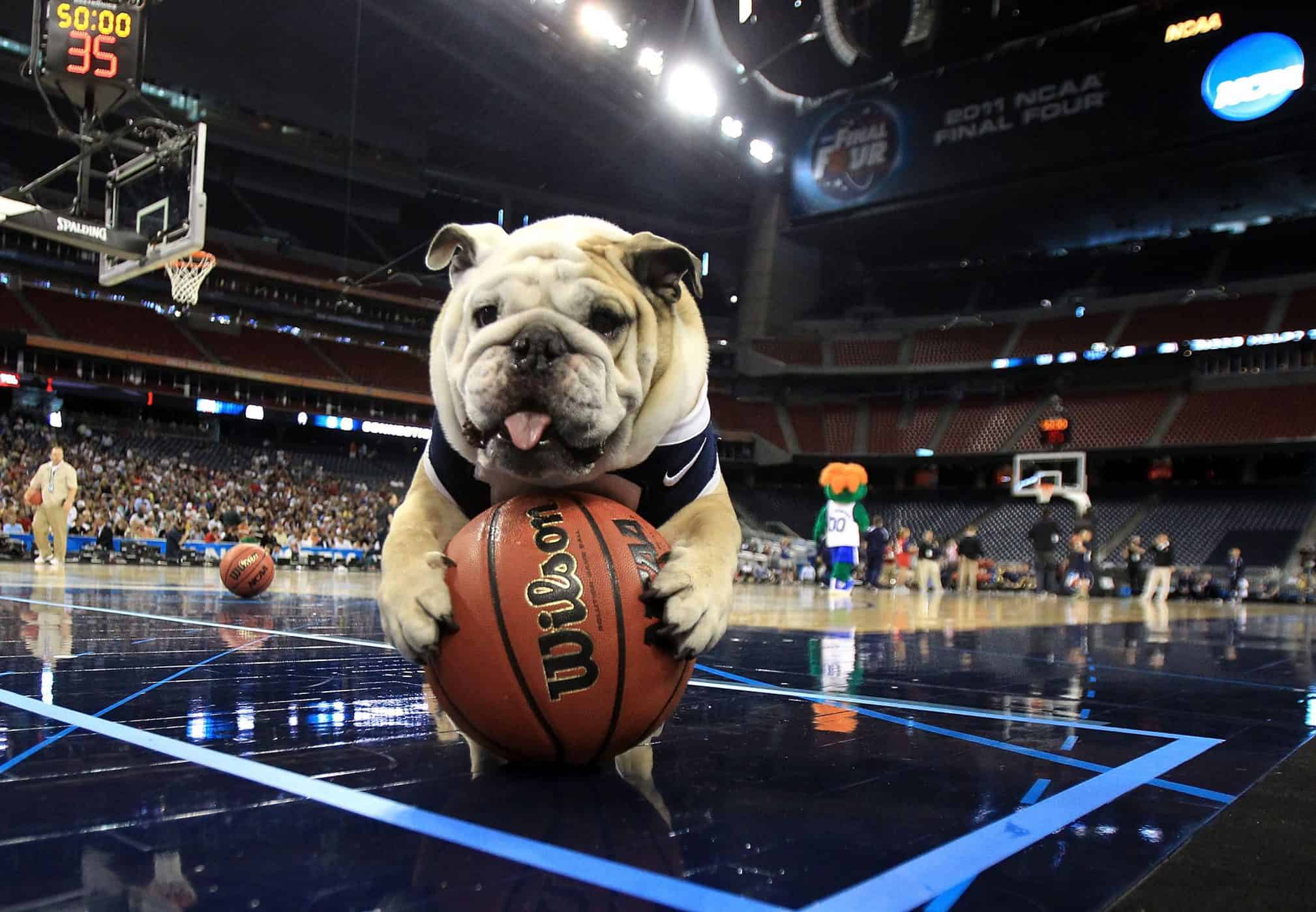 La mascotte di Butler e una giacca che vola