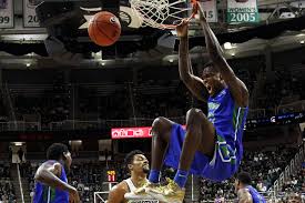 Florida Gulf Coast Eagles #14