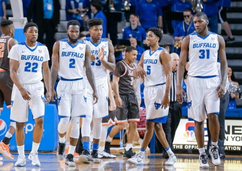 Buffalo Bulls soli nel deserto