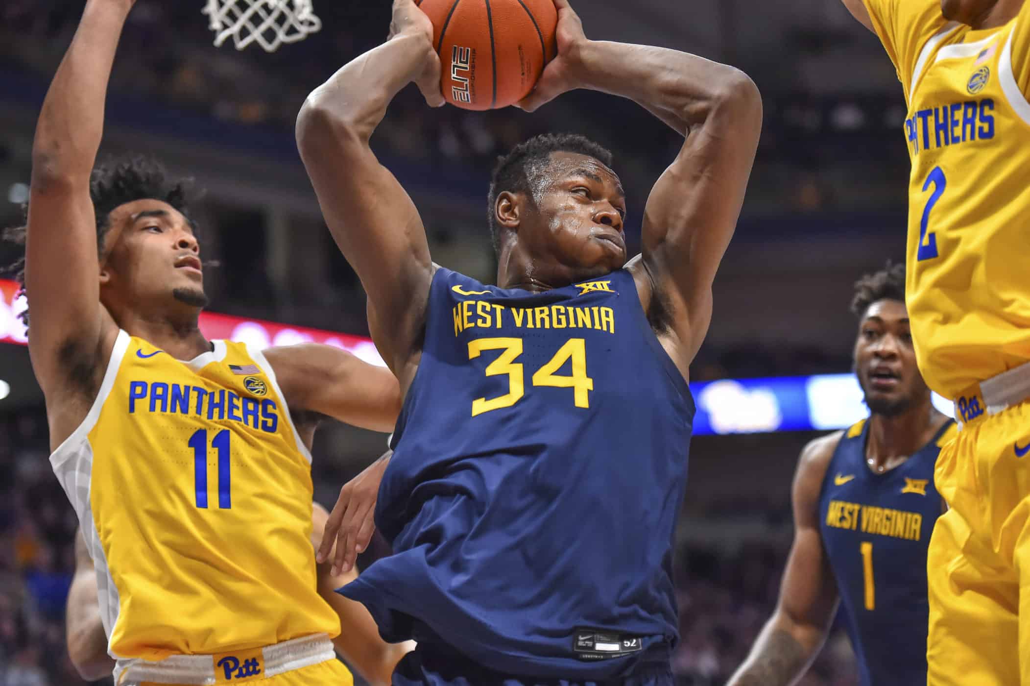 Oscar Tshiebwe, il cacciatore di WVU